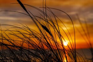 cumberland farms check gift card balance