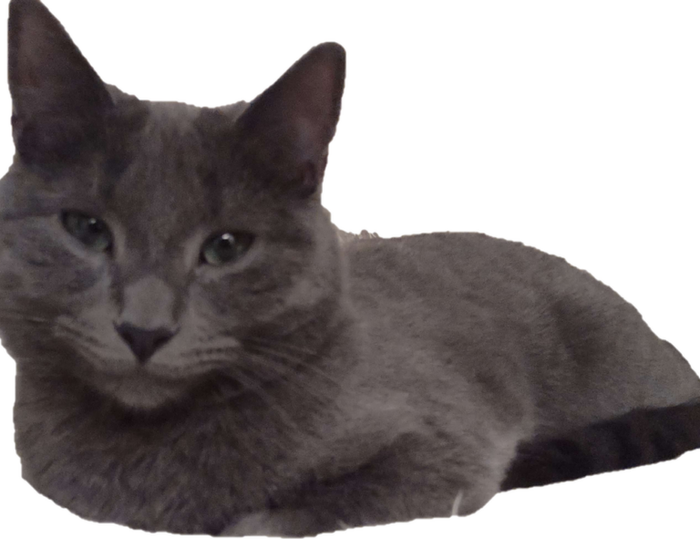 download grandiamod1.2 pc