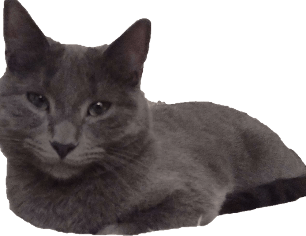 download grandiamod1.2 pc