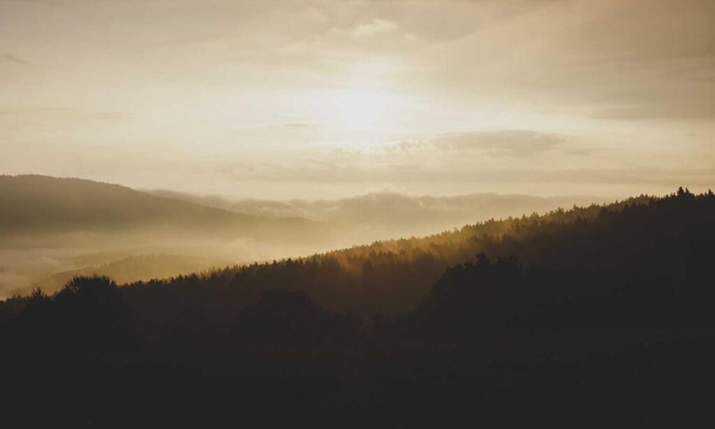 how khema rushisvili train like an olympic weightlifter