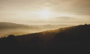 how khema rushisvili train like an olympic weightlifter