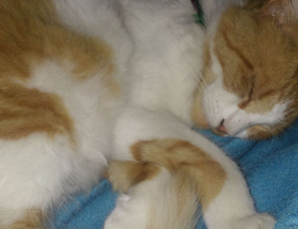 how to change server in innerlifthunt game