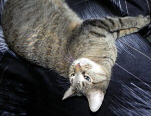 problem on computer 8379xnbs8e02328ws