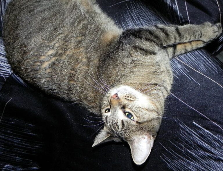 problem on computer 8379xnbs8e02328ws