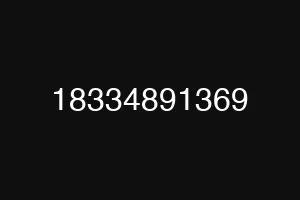 18334891369
