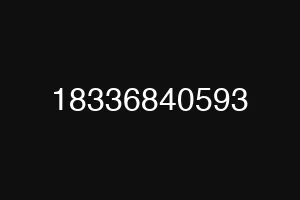 18336840593