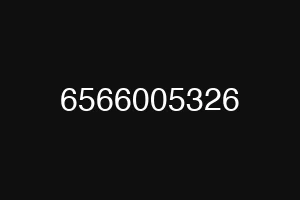 6566005326