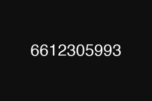 6612305993