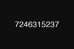 7246315237