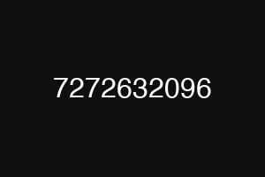 7272632096