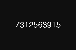 7312563915