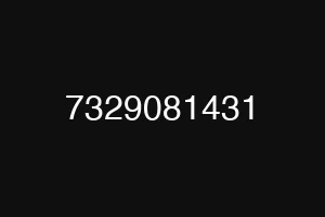 7329081431