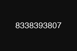 8338393807