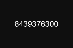 8439376300