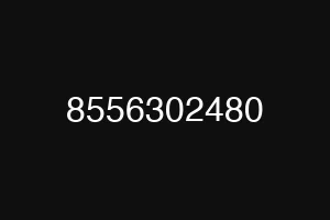 8556302480