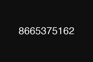8665375162