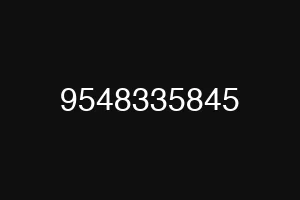 9548335845