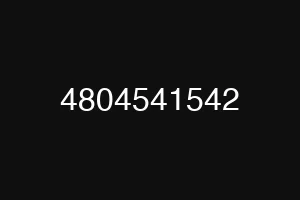 4804541542