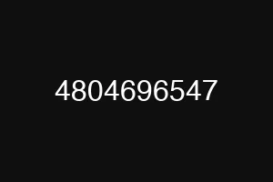 4804696547