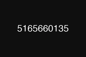 5165660135