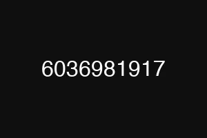 6036981917