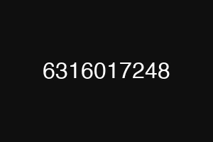 6316017248