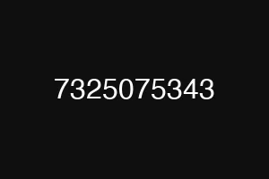7325075343