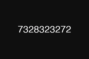 7328323272