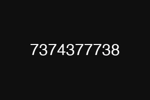 7374377738
