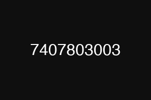 7407803003
