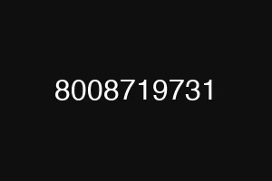 8008719731