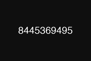 8445369495