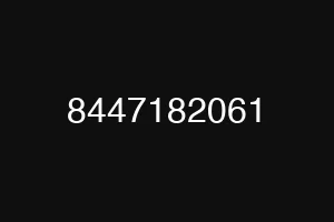 8447182061