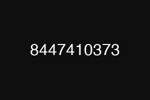 8447410373