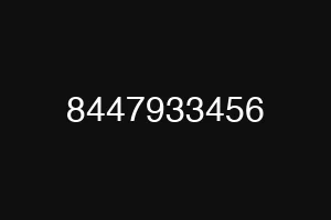 8447933456