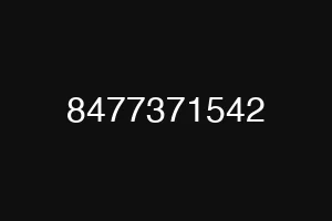 8477371542