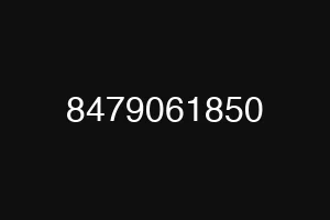 8479061850